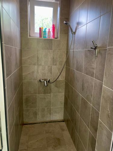 a bathroom with a shower with a window at MAX Jazero in Trstice