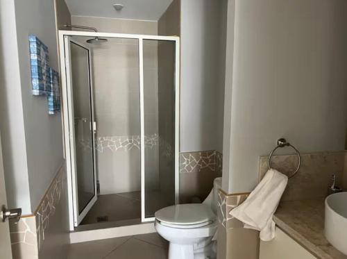 a bathroom with a shower and a toilet and a sink at Bay View Grand Marina with jacuzzi- North Tower in Ixtapa