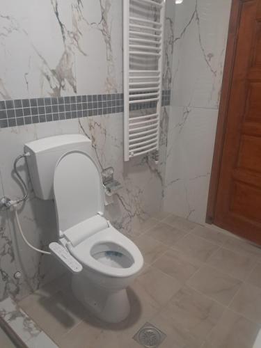 a bathroom with a white toilet in a room at Apartment Nikola R in Žabljak