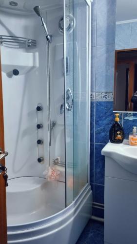 a shower with a glass door in a bathroom at Sergio City Apartments in Craiova