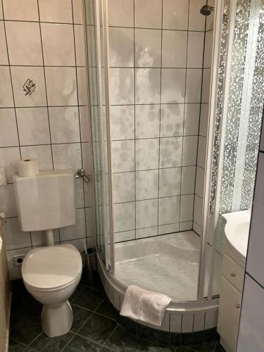 a bathroom with a shower and a toilet and a sink at Gasthaus Mossauer in Feistritz bei Knittelfeld