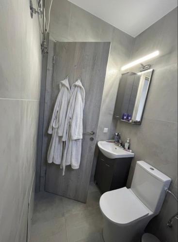 a bathroom with a toilet and a sink at Sadova Messinia Pearl Cozy Seafront House in Avía