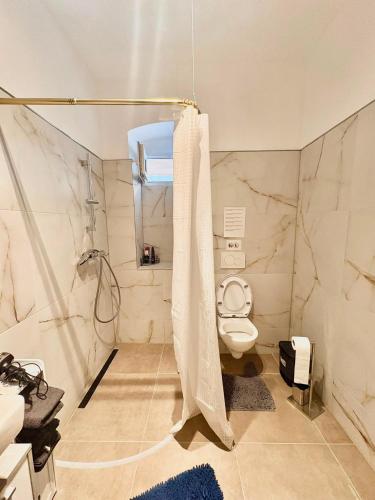 a bathroom with a shower and a toilet at Apartment 2 in Golling an der Erlauf in Petzenkirchen