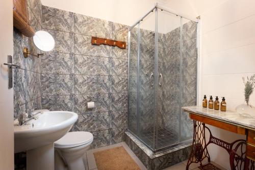 a bathroom with a shower and a toilet and a sink at The Old Watchmakers Guest House in Bethulie
