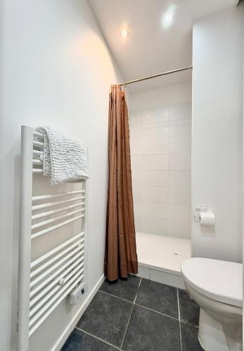 a bathroom with a shower and a toilet at Excellence 2 bedrooms in Saint-Pierre-le-Vieux