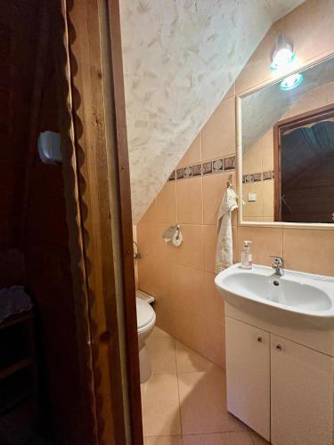 a bathroom with a sink and a toilet and a mirror at Gościniec Saba in Zieleniec