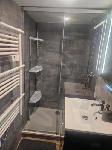 a bathroom with a shower and a sink at Gîte MARS in Torcenay
