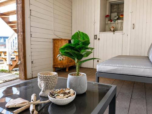 a table with a potted plant on a patio at Le Pignon Douillet in Sainte-Anne-des-Monts