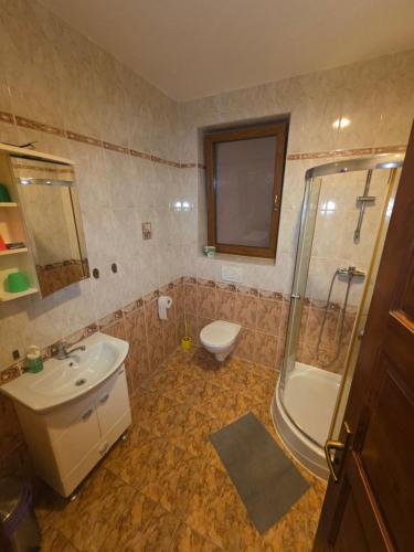 a bathroom with a sink and a toilet and a shower at Penzion PKO Nitra in Nitra