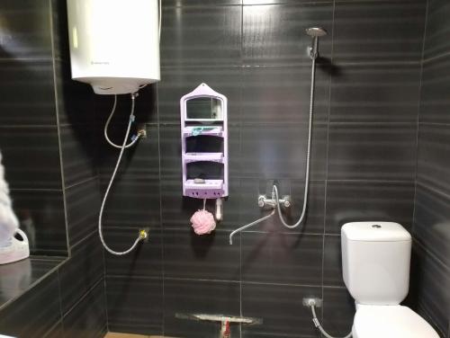 a bathroom with a toilet and a shower at Shios kari in Glola