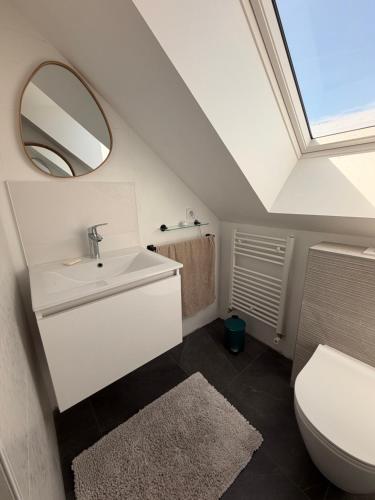 a bathroom with a sink and a mirror and a toilet at Villa Danni in Quiberon