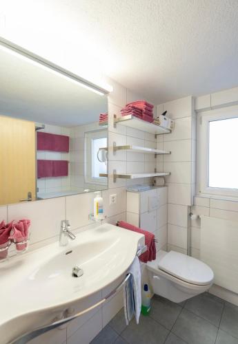 a bathroom with a sink and a toilet and a mirror at Chalet Alpenheim 1 OG in Bettmeralp