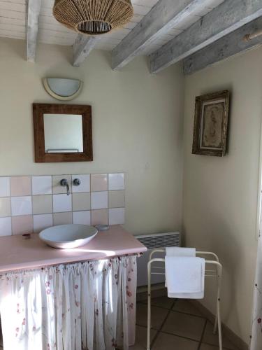 a bathroom with a sink and a mirror at Maison du Verger in Brosville