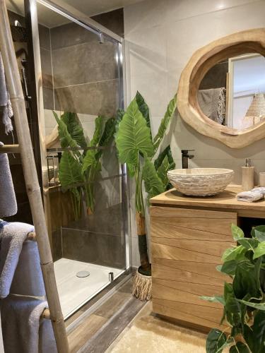 a bathroom with a shower with a sink and a mirror at Villa piscine jacuzzi Mas la Bregeonière in Roquefort-les-Pins