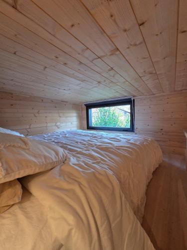 Casa Betel - Tiny House