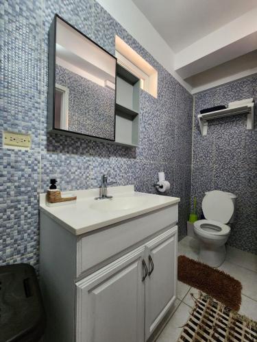 a bathroom with a sink and a mirror and a toilet at Coral Apt Tropical Apartments Tobago in Scarborough