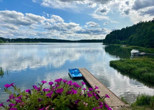a boat is docked on a lake with purple flowers at Szept Wody Kaszuby in Lubiana