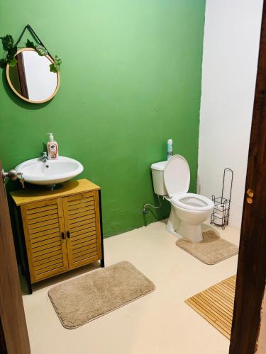 a green bathroom with a toilet and a sink at sol appartement 3 in Willemstad