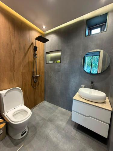 a bathroom with a toilet and a sink and a mirror at Calm Barnhouse Lankaran in Lankaran