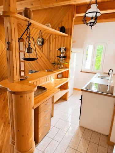 a kitchen with wooden walls and a counter with a sink at Hiža Bili in Svetvinčenat