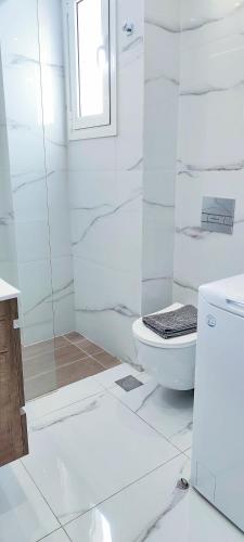 Premium apartment in Acropolis