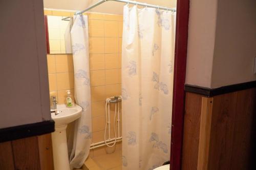 a bathroom with a shower curtain and a sink at Etno Resort Lipa 