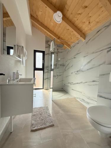 a bathroom with a sink and a toilet at Austrian Villa's in Covasna