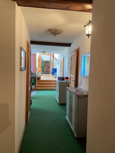 a hallway of a home with a green floor at Zimmervermietung Tramm 