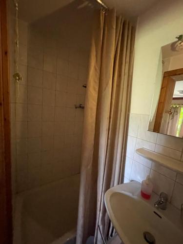 a bathroom with a tub and a sink and a shower at Zimmervermietung Tramm 