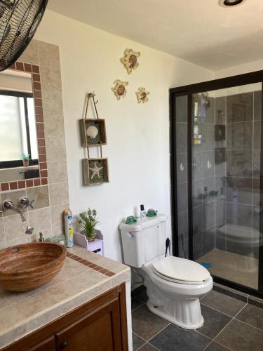 a bathroom with a toilet and a shower and a sink at Casa Palma in Santa Cruz Huatulco