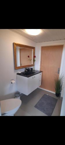 a bathroom with a toilet and a mirror on the wall at Casa Bonita helt ny lejlighed med eget toilet in Hjørring