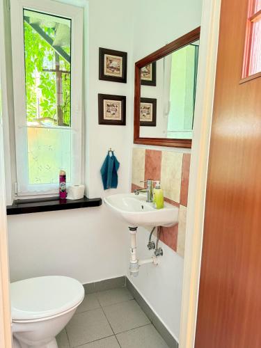 a bathroom with a toilet and a sink at Chata Białobrzeg in Białobrzeg Dalszy