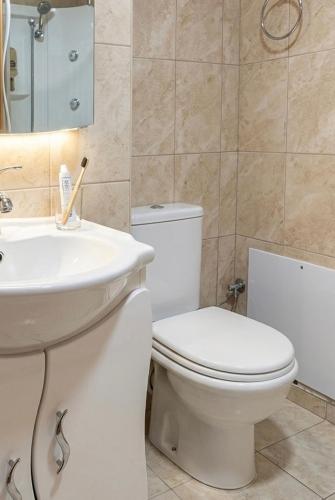 a bathroom with a white toilet and a sink at Dreamcatcher Maizonette No. 3 in Kalavrita