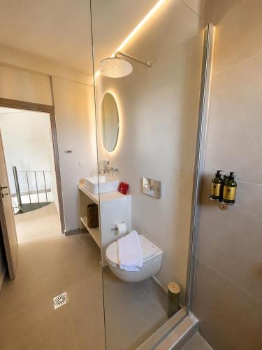 a bathroom with a toilet and a sink and a shower at Sea Salt Maisonettes Samos in Ireon