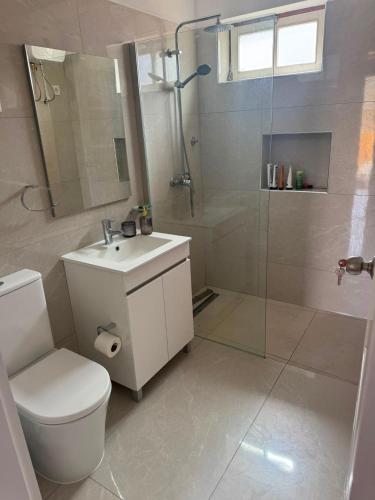 a bathroom with a toilet and a shower and a sink at S Vicente Live in Mindelo
