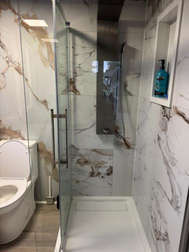 a bathroom with a shower with a toilet at Mac B&B in Ottawa