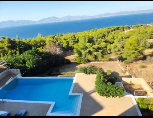 arial view of a swimming pool and the ocean at Azure Theologos Villa in Theologos