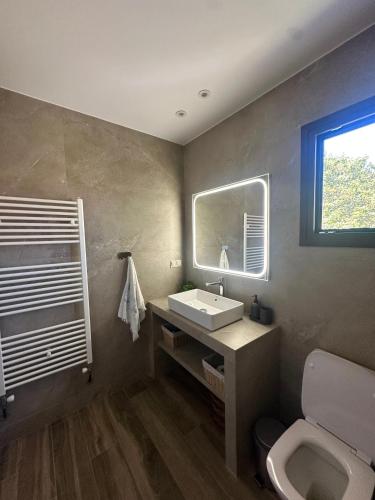 a bathroom with a sink and a toilet at Kiwi Traditional House in Litochoro