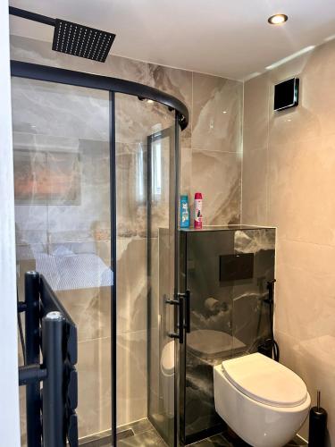 a bathroom with a shower and a toilet at Peaceful Coastal Escape in Old Colwyn