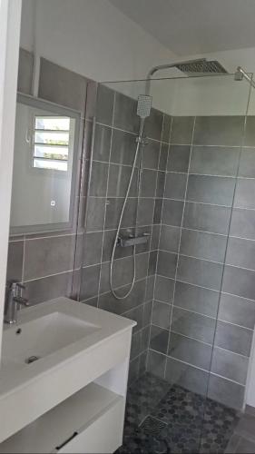 a bathroom with a shower with a sink and a shower at Maya Dream in Morne Blanc