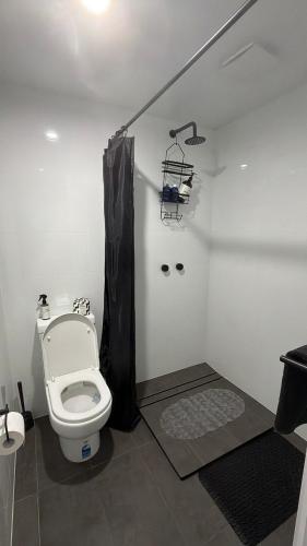 a bathroom with a toilet and a shower stall at Mustang Studios in Canberra