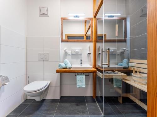 a bathroom with a toilet and a sink at Bösenstein in Hohentauern