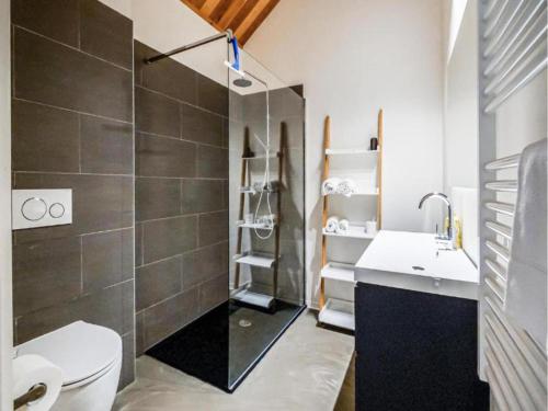 a bathroom with a toilet and a sink and a shower at SeeZeit am Pressegger See in Lake Pressegg