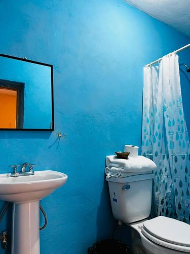 a blue bathroom with a toilet and a sink at Hospedaje Alex in Real de Catorce