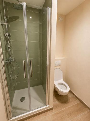 a bathroom with a shower and a toilet at Lovely studio with balcony - central location in Cavalaire-sur-Mer
