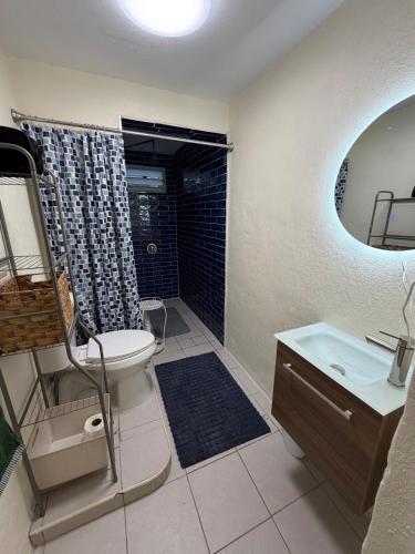 a bathroom with a sink and a toilet and a shower at Casa Brisa Beach House in Dorado
