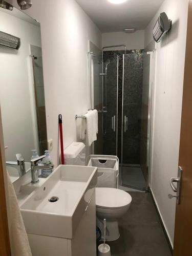 a bathroom with a sink and a toilet and a shower at Lucica 1 Beachfront House in Lastovo