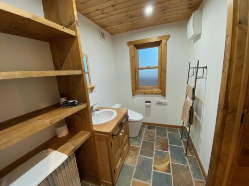 a bathroom with a sink and a toilet at Resort Door in Yamanakako
