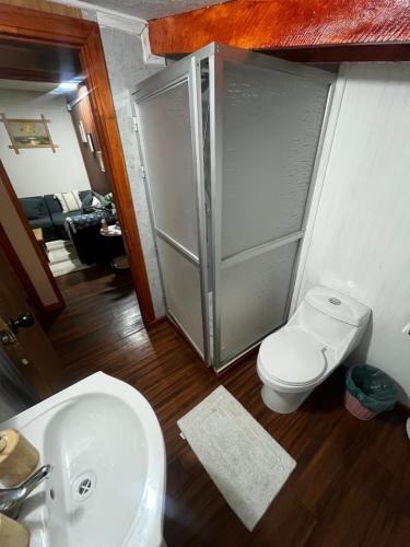 a bathroom with a toilet and a sink and a shower at Departamento la espiga in Chaitén