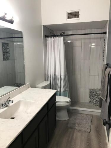 a bathroom with a sink and a toilet and a shower at The Tortolita House in Tucson